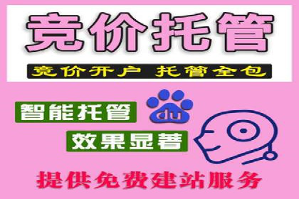 SEM竞价案例：提升搜索引擎排名